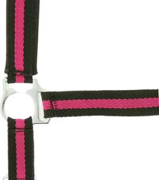 Produktbild von Norton Doublé Halfter aus Neopren für Ponys in Schwarz oder Rosa
