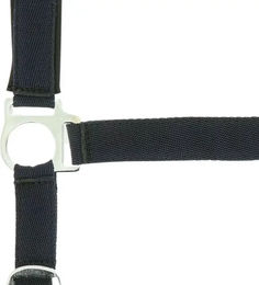 Produktbild von Norton Doublé Neopren Halfter für Ponys