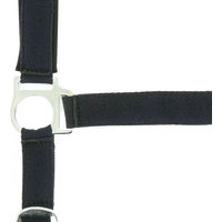 Produktbild von Norton Doublé Neopren Halfter für Ponys
