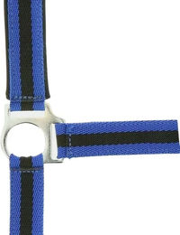 Produktbild von Norton Doublé Neopren Halfter für Ponys in Blau
