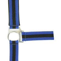 Produktbild von Norton Doublé Neopren Halfter für Ponys in Blau