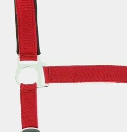 Produktbild von Norton Doublé Neopren Halfter für Ponys in Rot