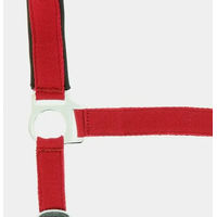 Produktbild von Norton Doublé Neopren Halfter für Ponys in Rot