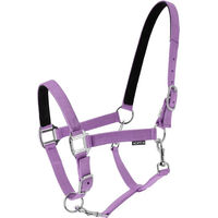 Produktbild von Norton Dream Pferd Halfter aus Nylon in Größe M