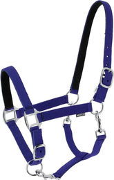Produktbild von Norton Dream Pferd Halfter aus Nylon in Schwarz oder Blau Größe M