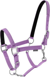 Produktbild von Norton Dream Pferdehalfter aus Nylon für Vollblut in Schwarz Rosa oder Lila