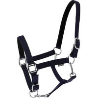 Produktbild von Norton Dream Pferdehalfter aus Nylon in Schwarz und Blau für Vollblut