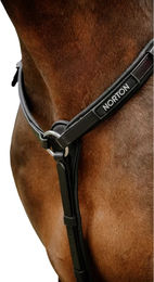 Produktbild von Norton Endurance Pop Jagdhalsband für Pferde aus Biothane