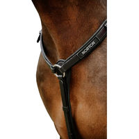 Produktbild von Norton Endurance Pop Jagdhalsband für Pferde aus Biothane