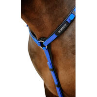 Produktbild von Norton Endurance Pop Jagdhalsband für Pferde aus Biothane in Blau