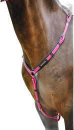 Produktbild von Norton Endurance Pop Jagdhalsband für Pferde aus Biothane in Rosa