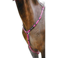 Produktbild von Norton Endurance Pop Jagdhalsband für Pferde aus Biothane in Rosa