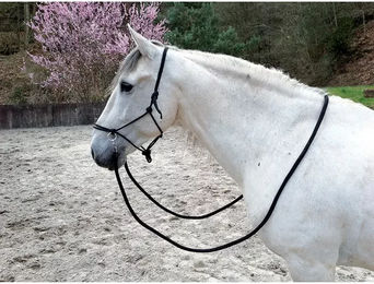 Norton ethologisches Knotenhalfter mit Zügeln für Warmblut in Schwarz – Bild 1 von 2