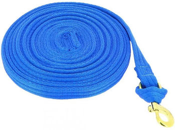 Norton Fluo Longe für Pferde aus Nylon in Blau – Bild 1 von 2