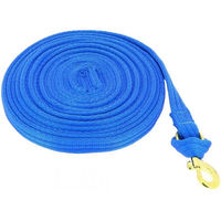 Produktbild von Norton Fluo Longe für Pferde aus Nylon in Blau