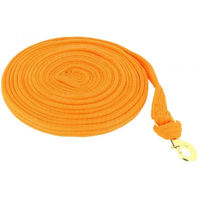 Produktbild von Norton Fluo Longe für Pferde in Orange