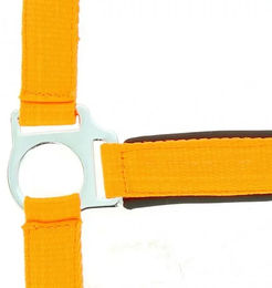 Norton Fluo Neon-Halfter für Pferde in Orange mit Neopren-Fütterung – Bild 1 von 2
