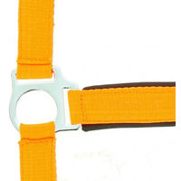 Produktbild von Norton Fluo Neon-Halfter für Pferde in Orange mit Neopren-Fütterung