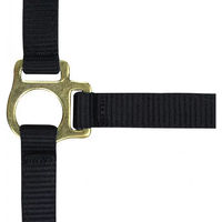 Produktbild von Norton Fohlenhalfter aus Nylon in Schwarz