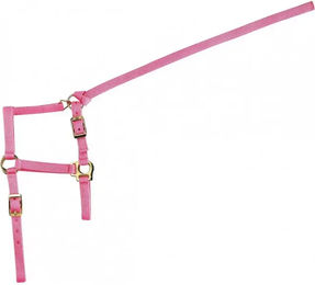 Produktbild von Norton Fohlenhalfter mit Mini-Führstrick aus Nylon in Rosa