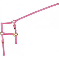 Produktbild von Norton Fohlenhalfter mit Mini-Führstrick aus Nylon in Rosa