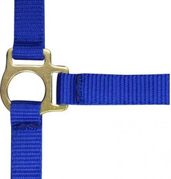 Produktbild von Norton Fohlenhalfter und Longiergurt aus Nylon in Blau