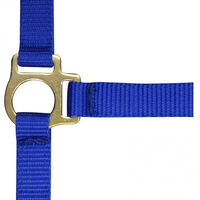 Produktbild von Norton Fohlenhalfter und Longiergurt aus Nylon in Blau
