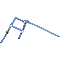 Produktbild von Norton Fohlenhalfter und Longiergurt aus Nylon in Blau