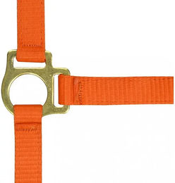 Produktbild von Norton Fohlenhalfter und Longiergurt aus Nylon in Orange