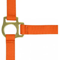 Produktbild von Norton Fohlenhalfter und Longiergurt aus Nylon in Orange