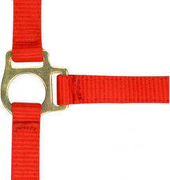 Produktbild von Norton Fohlenhalfter und Longiergurt aus Nylon in Rot