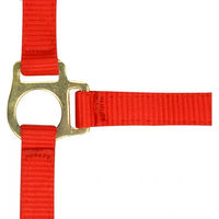 Produktbild von Norton Fohlenhalfter und Longiergurt aus Nylon in Rot