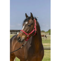 Produktbild von Norton Grooming Pferd Halfter aus Kunststoff in Rot