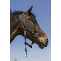 Produktbild von Norton Grooming Pferdehalfter für Ponys aus Kunststoff in Blau