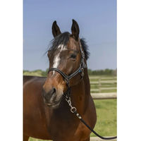Produktbild von Norton Grooming Pony Halfter aus Kunststoff in Schwarz