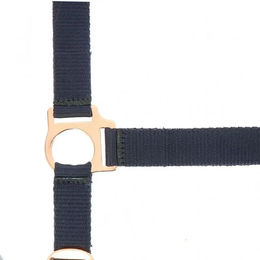 Produktbild von Norton Halfter aus Nylon in Rose Gold