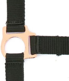 Produktbild von Norton Halfter aus Nylon in Rosegold und Schwarz