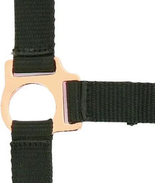 Produktbild von Norton Halfter aus Nylon in Rosegold und Schwarz für Vollblut Pferde