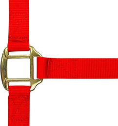 Produktbild von Norton Halfter aus Nylon mit Lederfütterung für Pferde in Rot