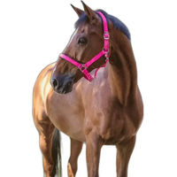 Produktbild von Norton Halfter Fluo aus Neopren in Rosa für Vollblut/VB