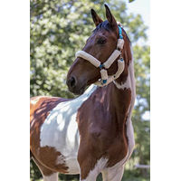 Produktbild von Norton Halfter für Warmblut mit synthetischem Schaffell in Elektroblau und Ecru