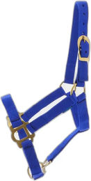 Produktbild von Norton Halfter mit Schnallenverschlüssen für Ponys in Blau
