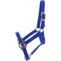 Produktbild von Norton Halfter mit Schnallenverschlüssen für Ponys in Blau
