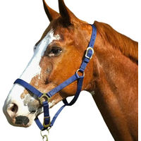 Produktbild von Norton Halfter mit Schnallenverschlüssen für Ponys in Blau