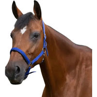 Produktbild von Norton Halfter und Stricke aus Kunststoff in Blau für Pferde