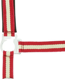 Produktbild von Norton Halfter und Stricke aus Kunststoff in Rot