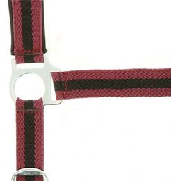 Produktbild von Norton Halfter und Stricke aus Polypropylen in Rot