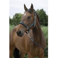 Produktbild von Norton Longe Reiten Equithème Spring Longierbedarf für Vollblut in Grün
