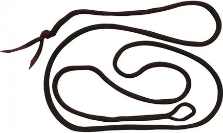 Produktbild von Norton Longierleine für Pferde aus Kunststoff in Braun