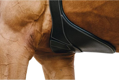 Produktbild von Norton Magnet Reitlatzgurt aus Leder in Schwarz